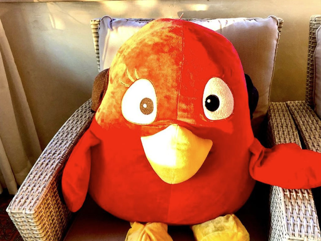 angry birds uccellino rosso mascotte