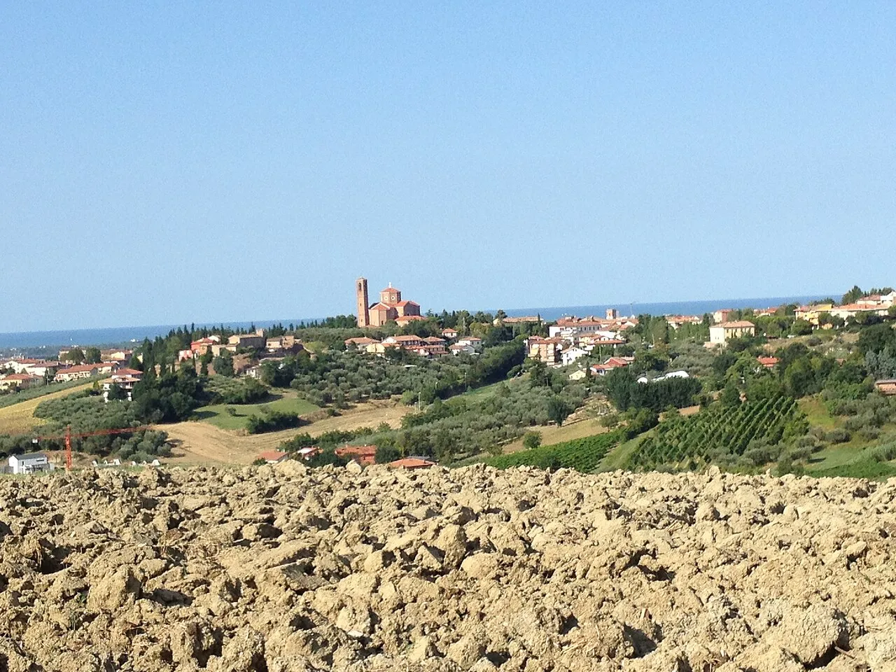Le colline di Coriano con vigneti, uliveti e il mare all’orizzonte