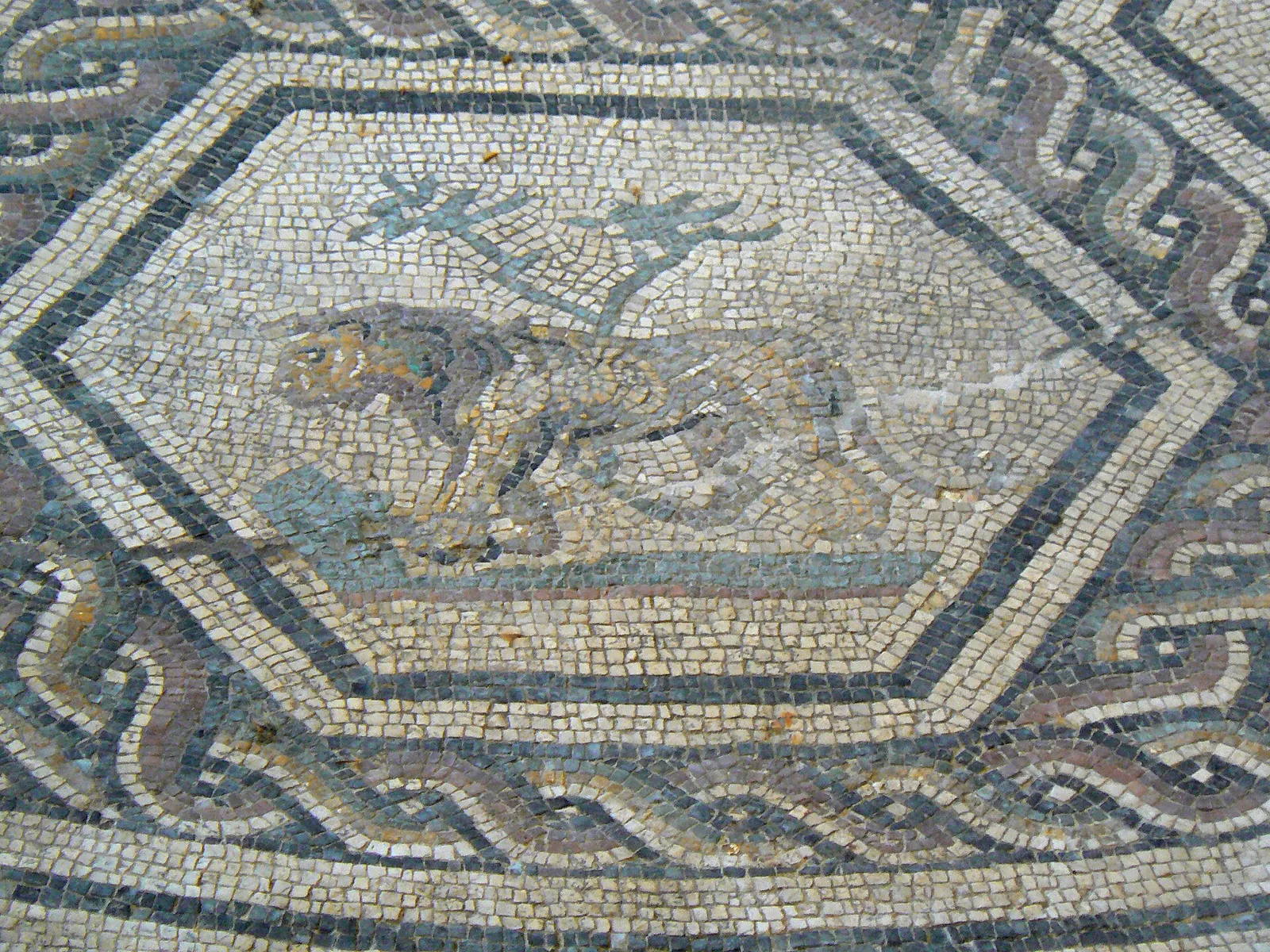 Particolare di un mosaico pavimentale con animale in una cornice esagonale
