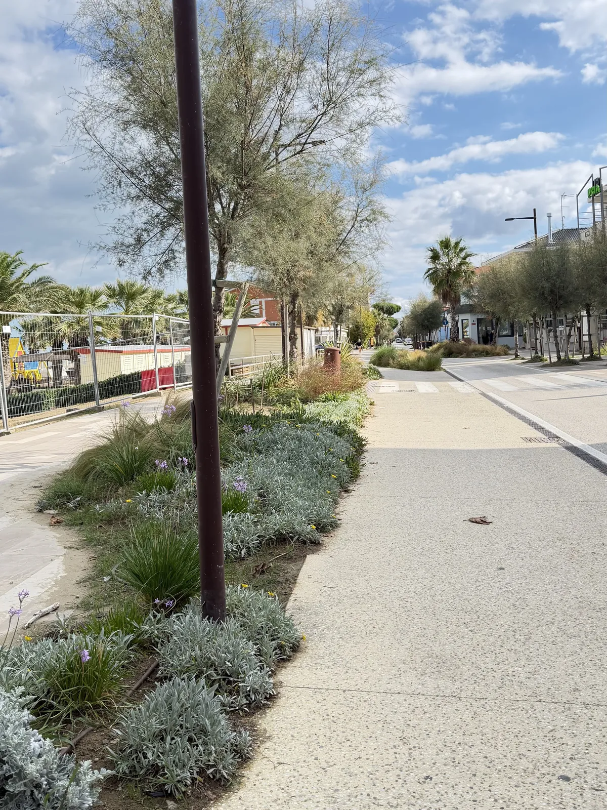 Le aiuole fiorite e la pista ciclabile del Parco del Mare sul lungomare nord di Rimini, tra tamerici e palme