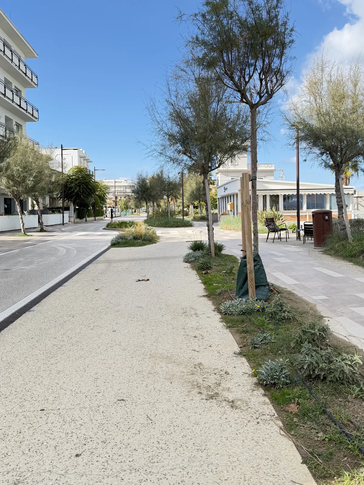 La pista ciclabile e la passeggiata del Parco del Mare sul lungomare nord di Rimini, con alberi, aiuole e i bar sul mare