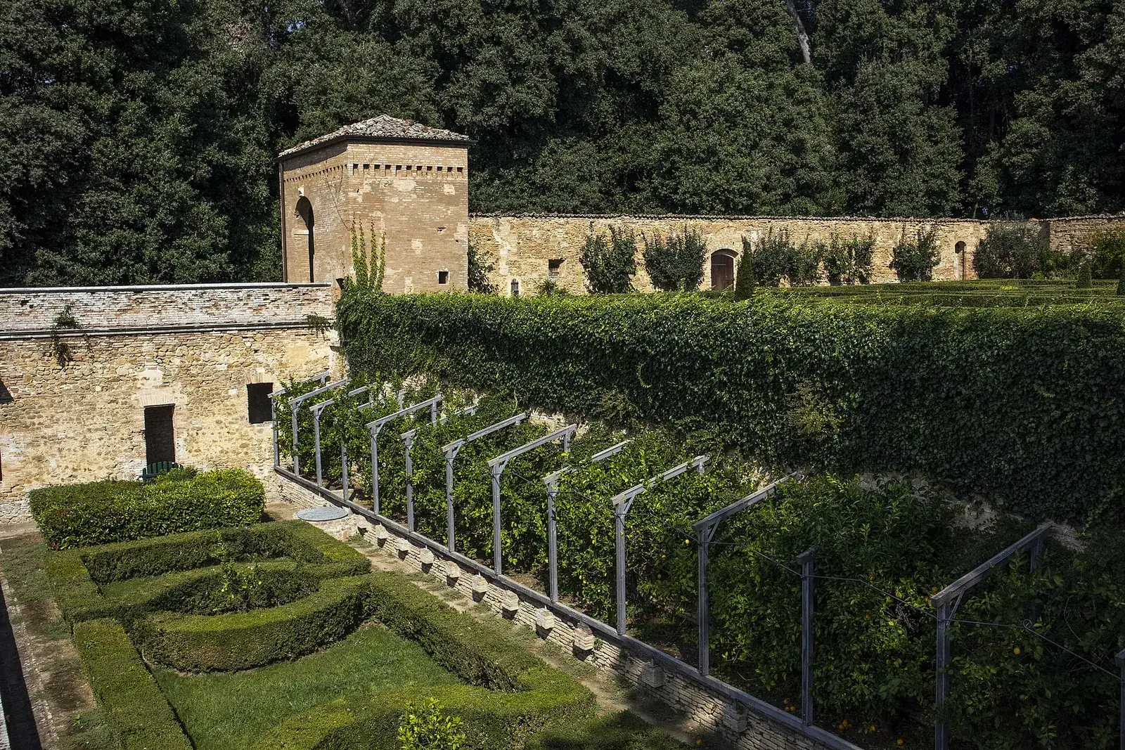 Giardino all'italiana con siepi e pergolato di agrumi tra le mura della Villa Imperiale di Pesaro