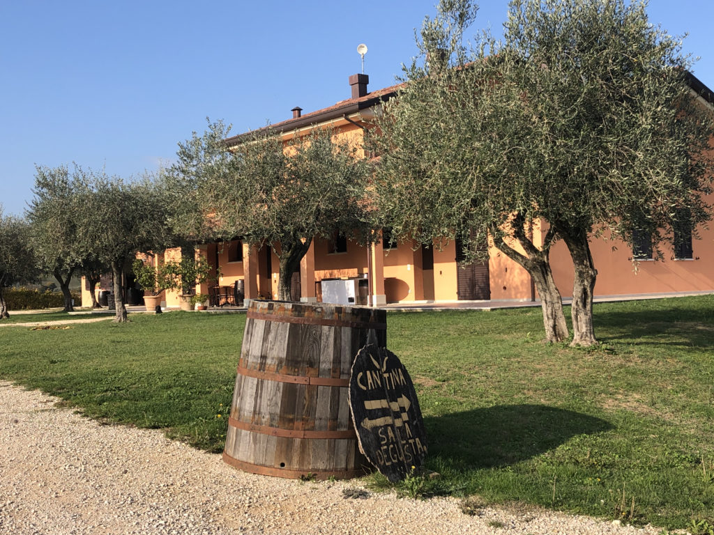 podere angelo ingresso sala degustazione