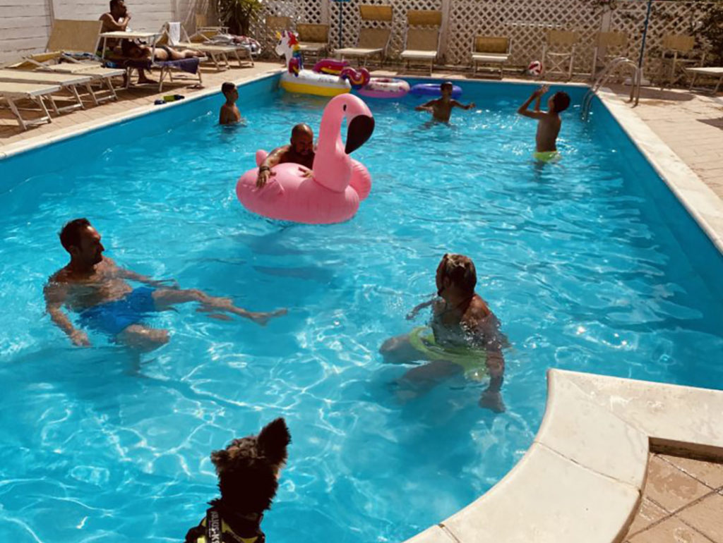 piscina hotel viking cagnolino e bambini lasabrigamer