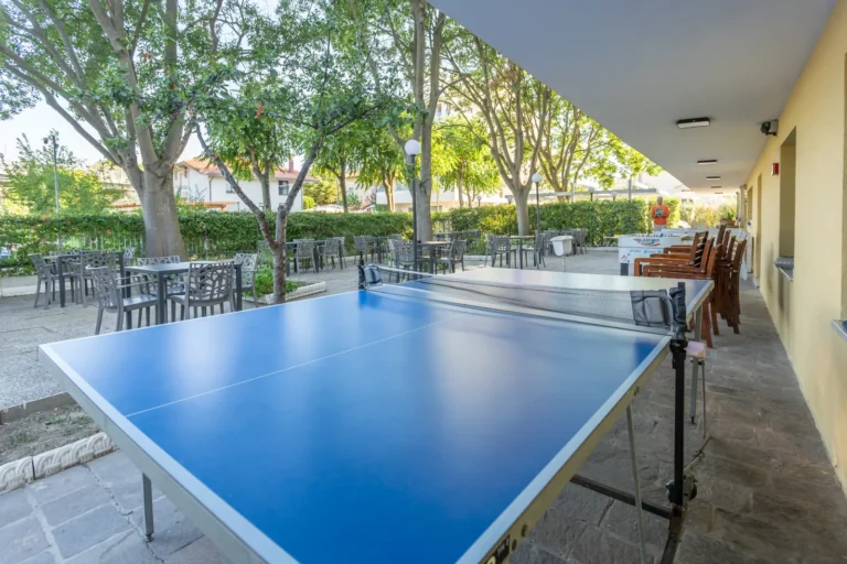 Tavolo da ping pong nel giardino alberato dell'Hotel Viking